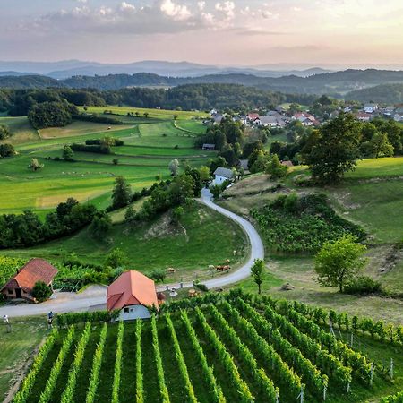 Vineyard Cottage Krivic Trebelno Εξωτερικό φωτογραφία