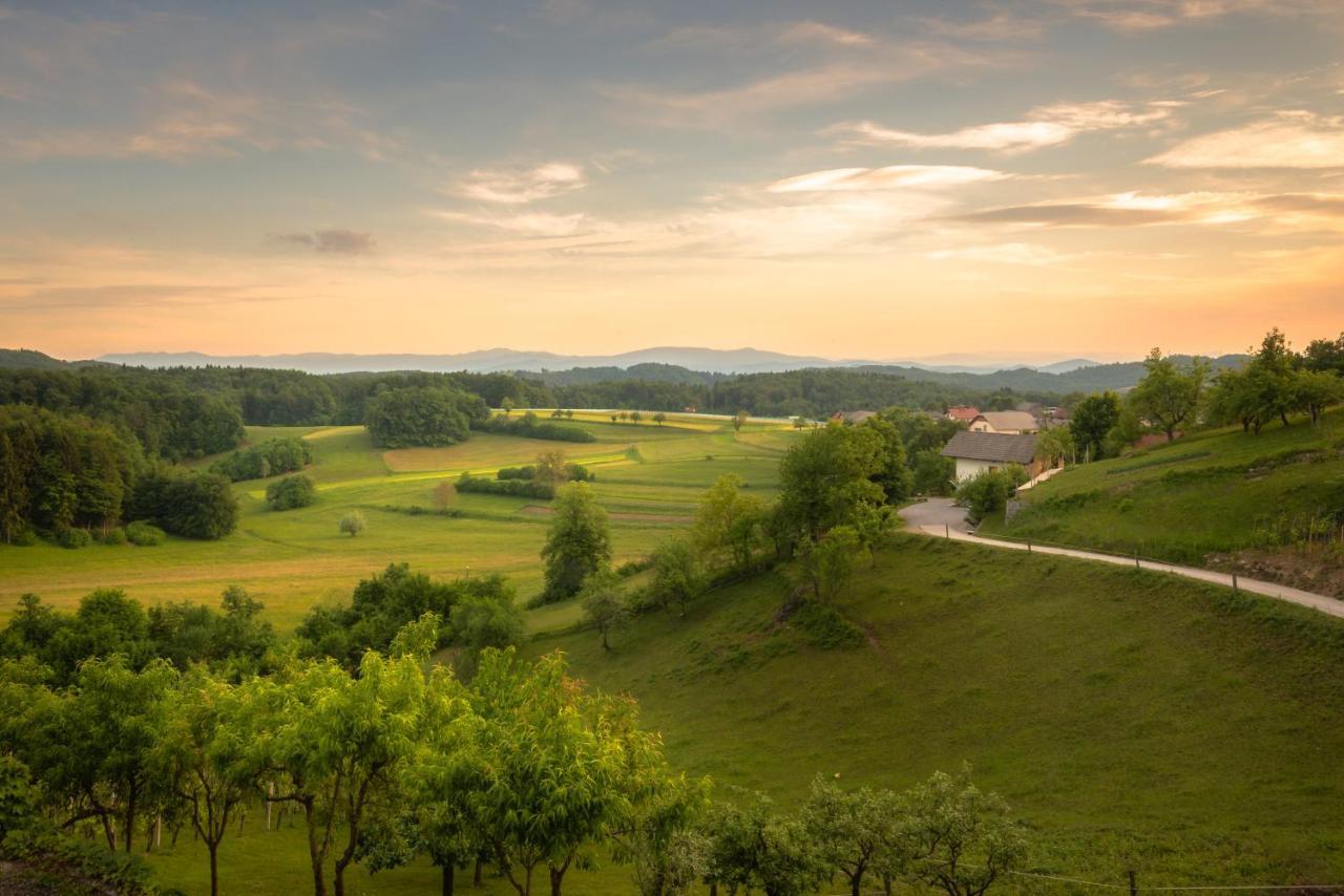 Vineyard Cottage Krivic Trebelno Εξωτερικό φωτογραφία