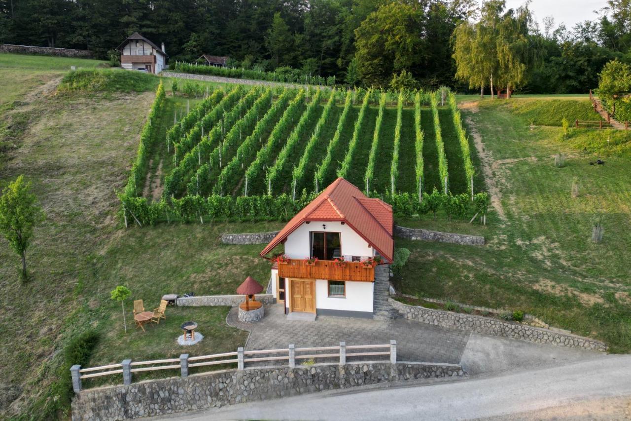 Vineyard Cottage Krivic Trebelno Εξωτερικό φωτογραφία