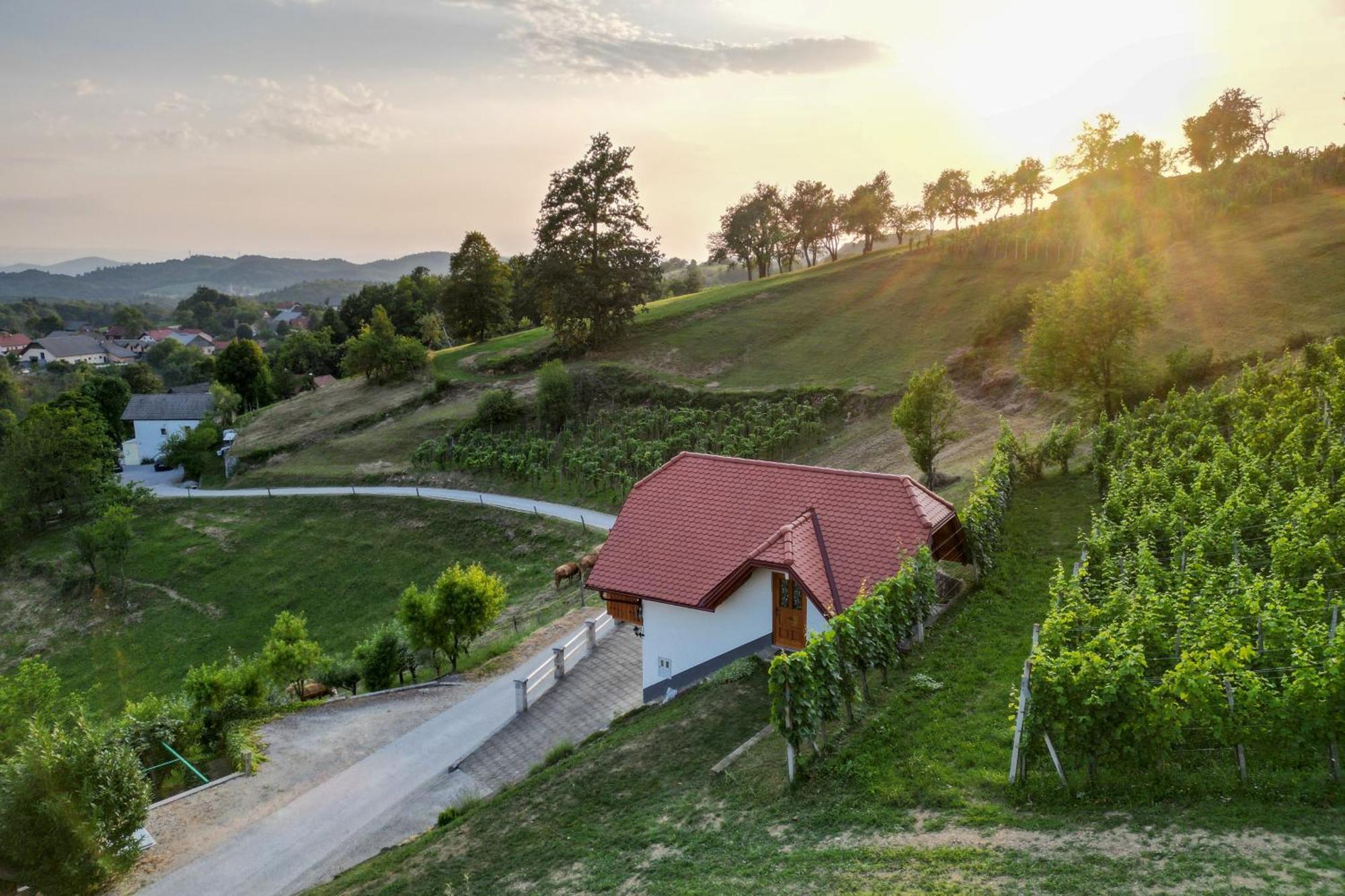 Vineyard Cottage Krivic Trebelno Εξωτερικό φωτογραφία