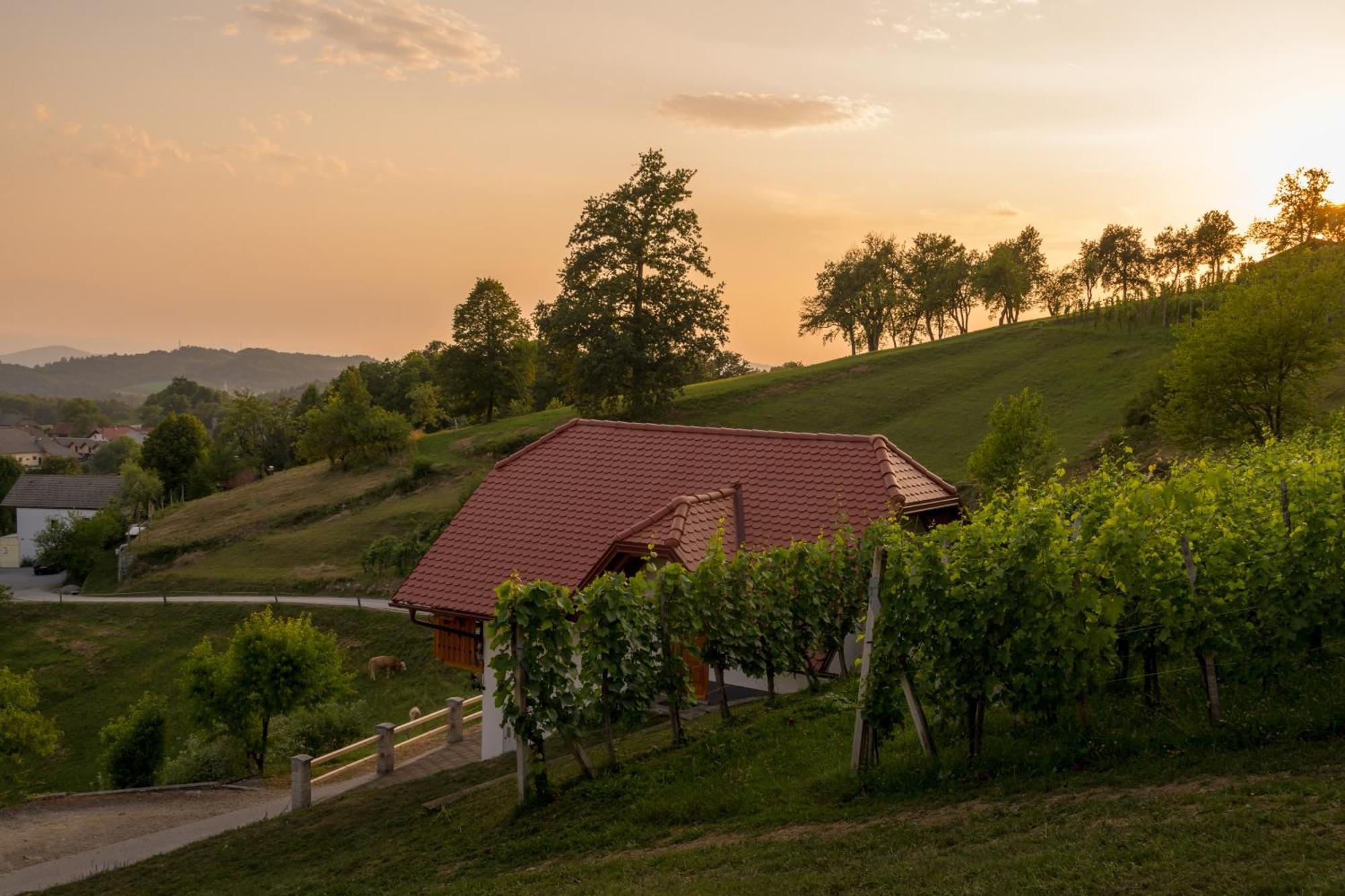 Vineyard Cottage Krivic Trebelno Εξωτερικό φωτογραφία