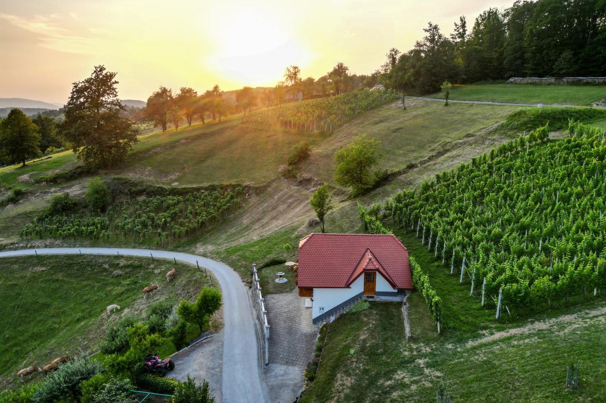 Vineyard Cottage Krivic Trebelno Εξωτερικό φωτογραφία