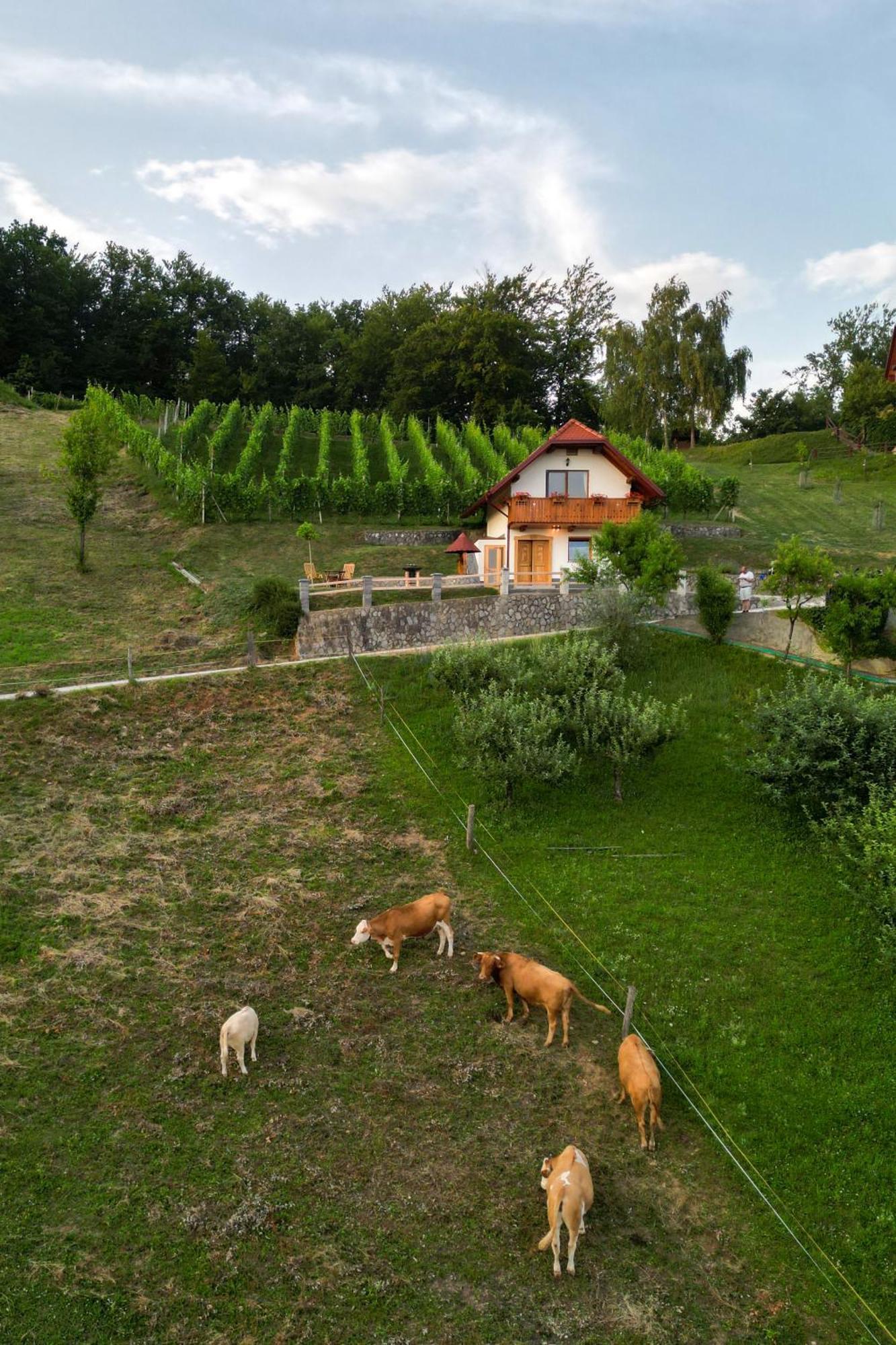 Vineyard Cottage Krivic Trebelno Εξωτερικό φωτογραφία