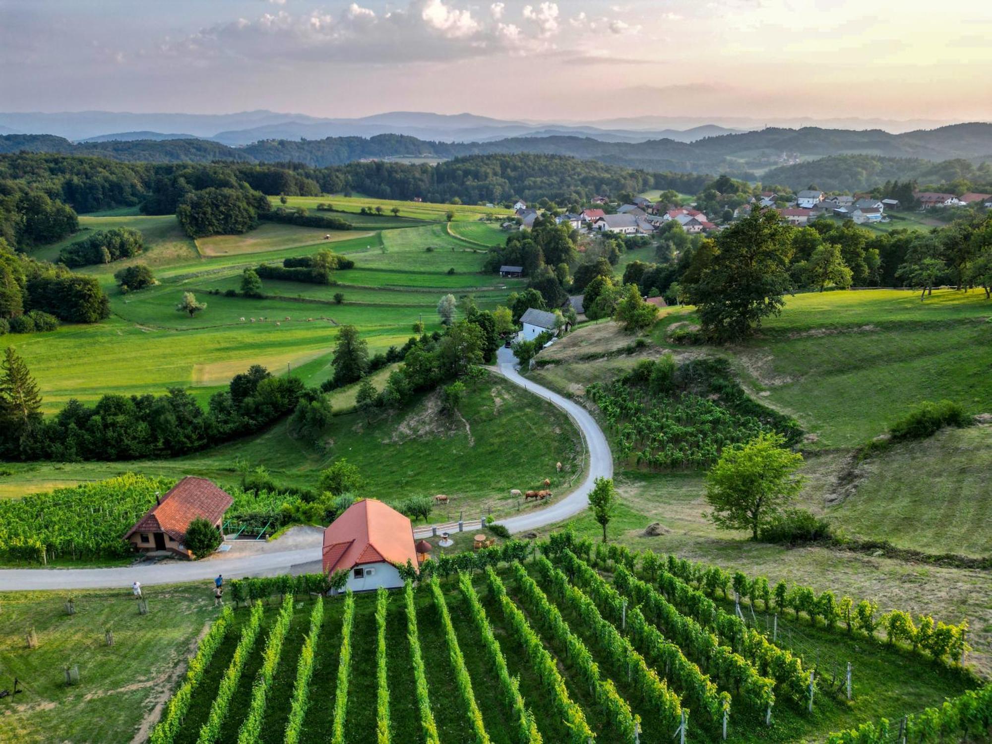 Vineyard Cottage Krivic Trebelno Εξωτερικό φωτογραφία