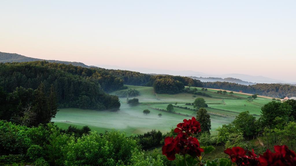 Vineyard Cottage Krivic Trebelno Εξωτερικό φωτογραφία